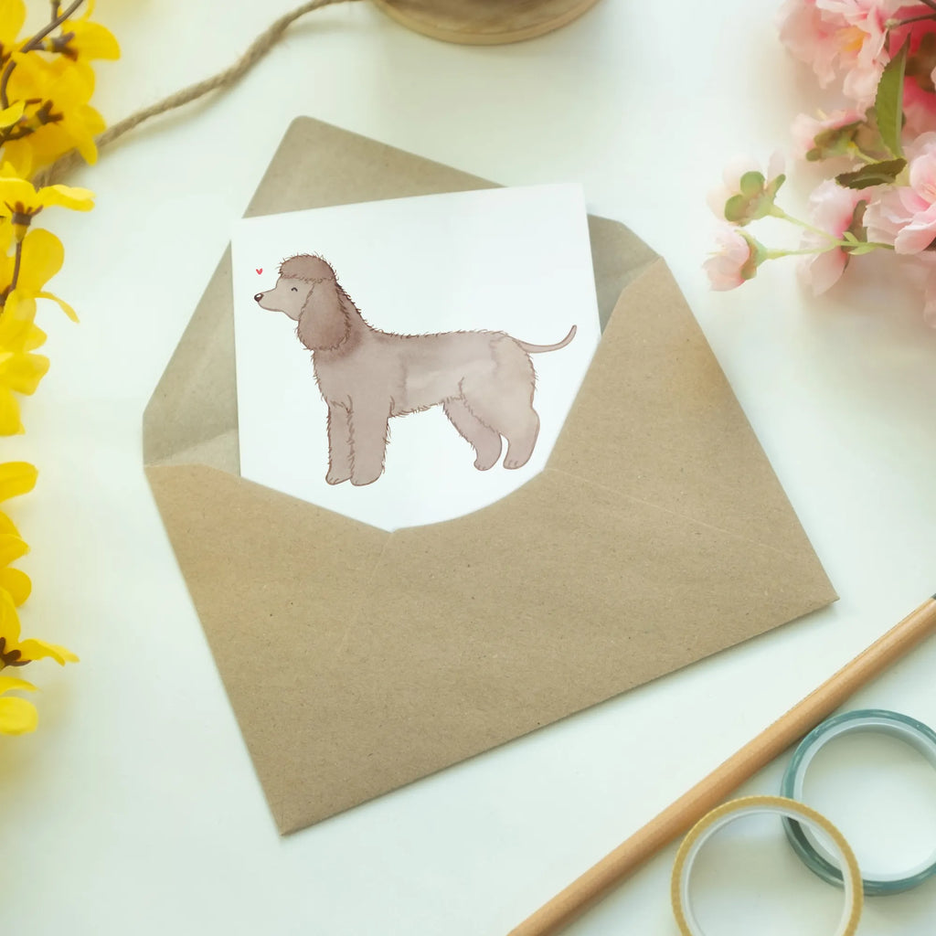Greetings card Irish Water Spaniel moment folding card, greeting card, birthday card, wedding card, invitation card, Dog, dog breed, purebred dog, dog owner, gift, animal lover, giving, puppy