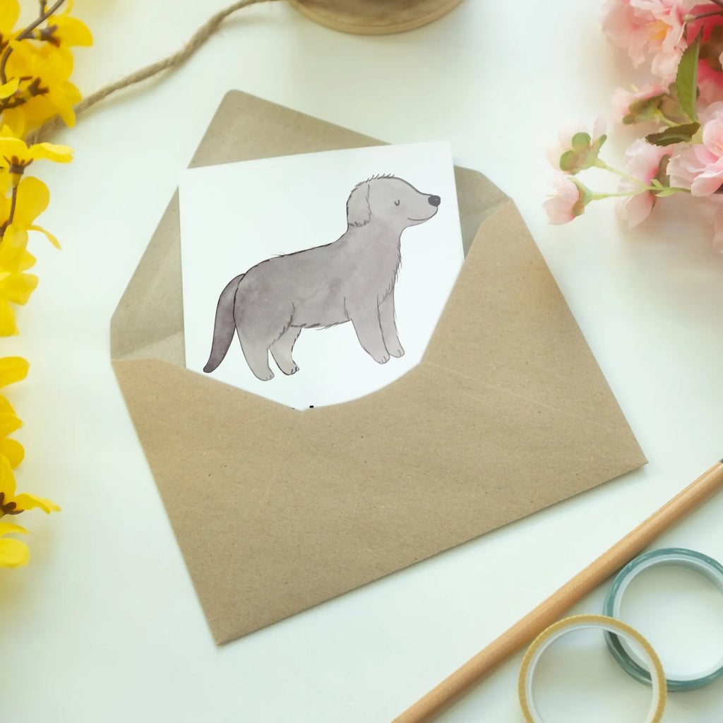 Greetings card Newfoundland dog Moment invitation card, birthday card, greeting card, folding card, wedding card, Dog, dog breed, purebred dog, dog owner, gift, animal lover, giving, puppy