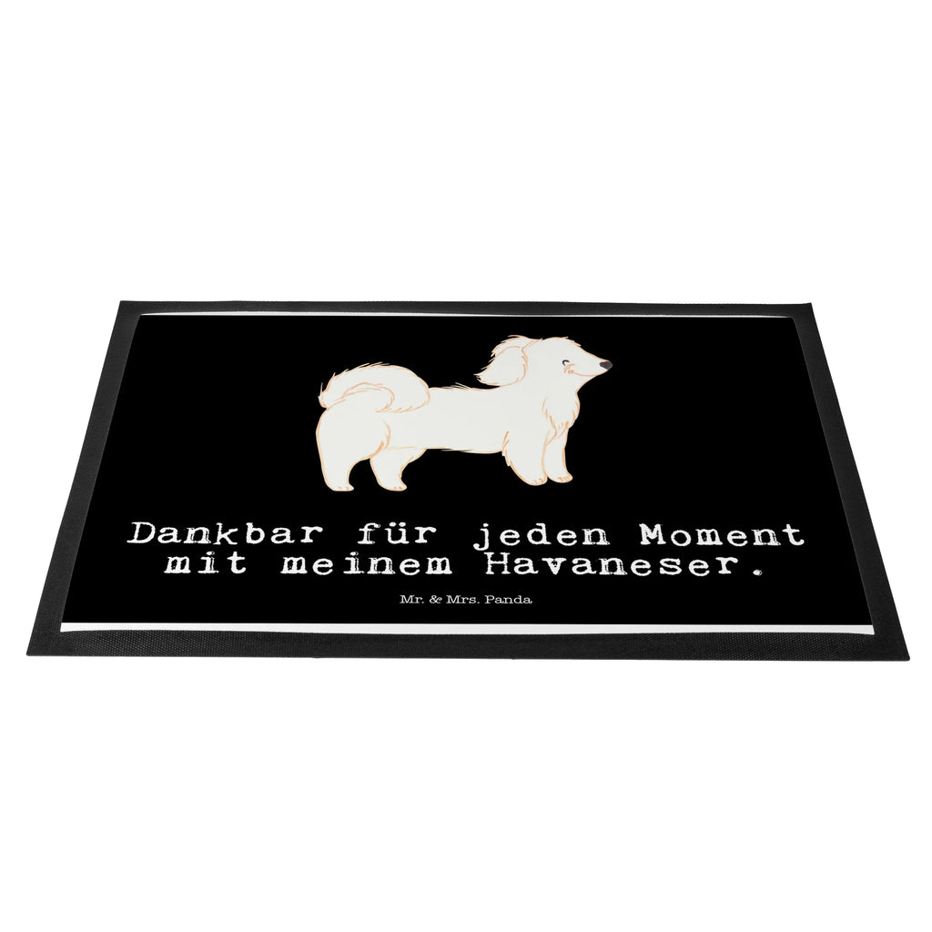 wycieraczka Hawanyzer chwila Pies, rasa psa, pies rasowy, właściciel psa, prezent, miłośnik zwierząt, dawanie, szczeniak