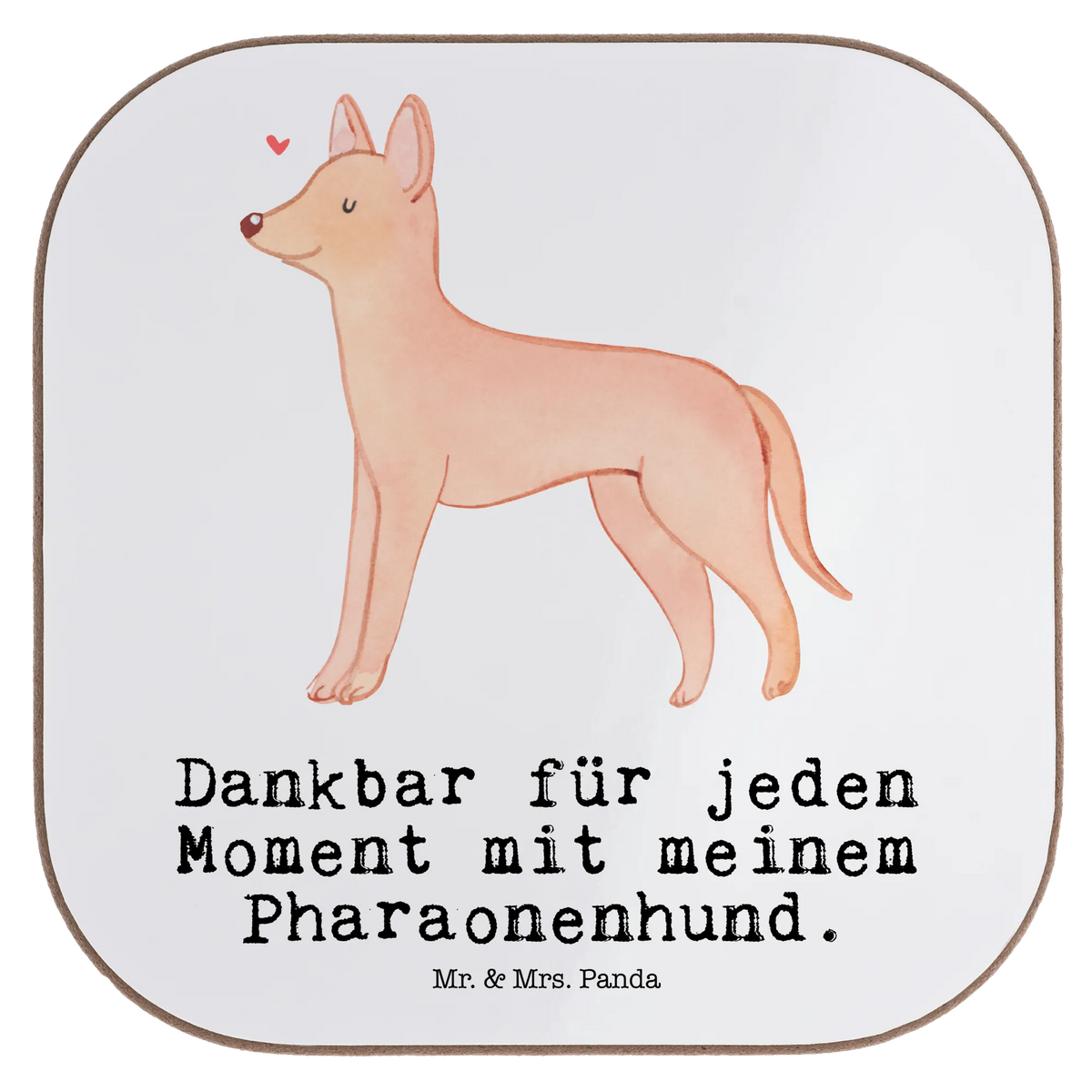 Square coaster Pharaoh Hound Moment Coasters, breakfast, party, presents, gifts, glass coasters, gift, Dog, dog breed, purebred dog, dog owner, animal lover, giving, puppy