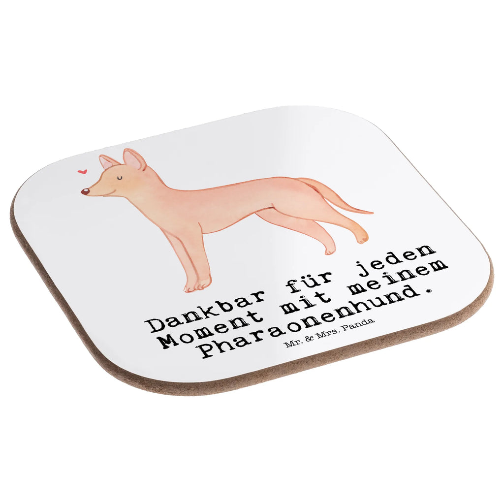 Quadratische Untersetzer Pharaonenhund Moment Untersetzer Tasse, Untersetzer Kaffee, Flaschenuntersetzer, eckiger untersetzer, Becheruntersetzer, bar untersetzer, weinuntersetzer, Coaster, deko untersetzer, Untersetzer für Gläser, garten untersetzer, weinglasuntersetzer, hartfaser untersetzer, hartfaseruntersetzer, Tassen Untersetzer, bieruntersetzer, Untersetzer Quadratisch, esstisch untersetzer, Kaffeeuntersetzer, grill untersetzer, Holzuntersetzer, Glasuntersetzer, party untersetzer, Baruntersetzer, gläseruntersetzer, Untersetzer Glas, Quadratischer Untersetzer, Teeuntersetzer, Getränkeuntersetzer, Design Untersetzer, schutzuntersetzer, Tischuntersetzer, Untersetzer Tee, Untersetzer, unterleger, Untersetzer Gläser, Tischschoner, weinflaschenuntersetzer, Tassenuntersetzer, Geschenk, Schenken, Hund, Hunderasse, Rassehund, Hundebesitzer, Tierfreund, Welpe, Pharaonenhund, Pharaoh Hound, Kelb Tal-Fenek