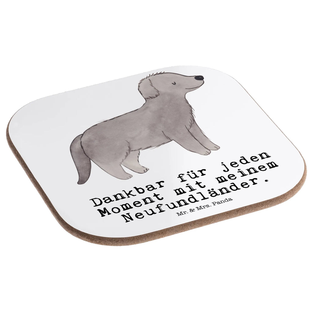 Square coaster Newfoundland dog Moment gift, gifts, Coasters, breakfast, glass coasters, party, presents, Dog, dog breed, purebred dog, dog owner, animal lover, giving, puppy