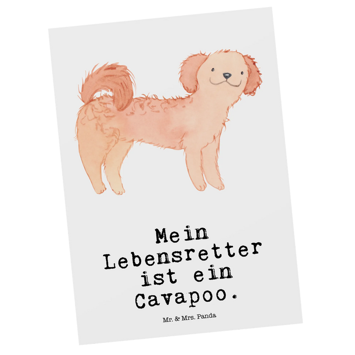 Postcard Cavapoo Lifesaver