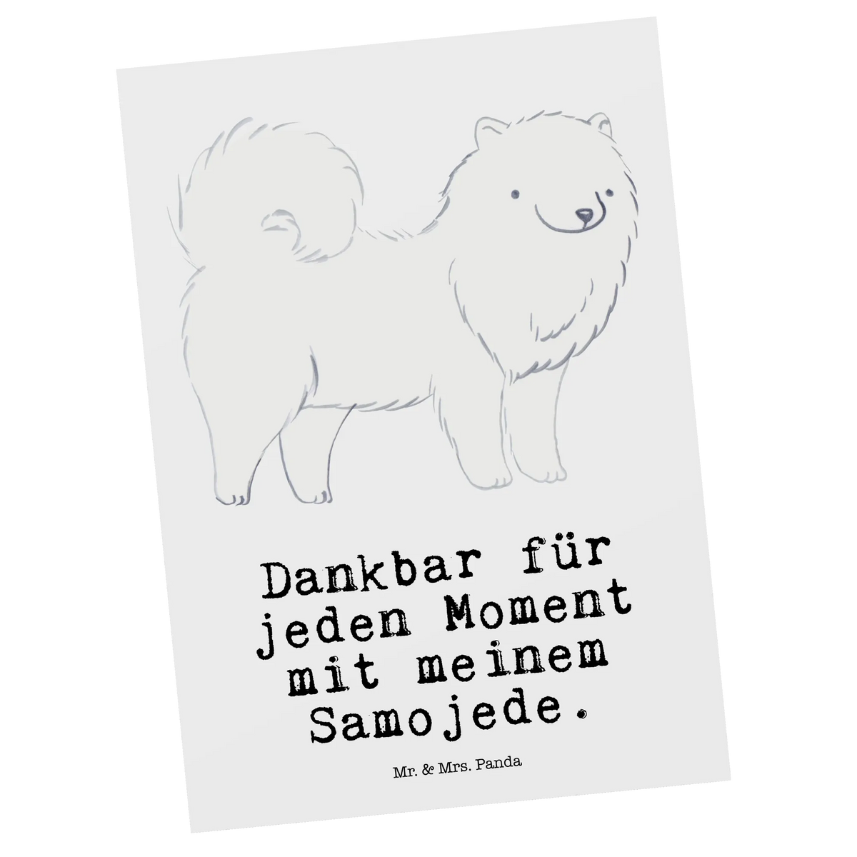 Postkarte Samojede Moment Ansichtskarte, spruchkarte, Grußkarte, Ansichtskarten, Designkarte, Postkarte, Fotokarte, kunstkarte, bildkarte, Postkarten, einzelkarte, Motivkarte, Kunstkarten, Geschenk, Schenken, Hund, Hunderasse, Rassehund, Hundebesitzer, Tierfreund, Welpe, Samojede, Samojedenhund, Samojedenspitz