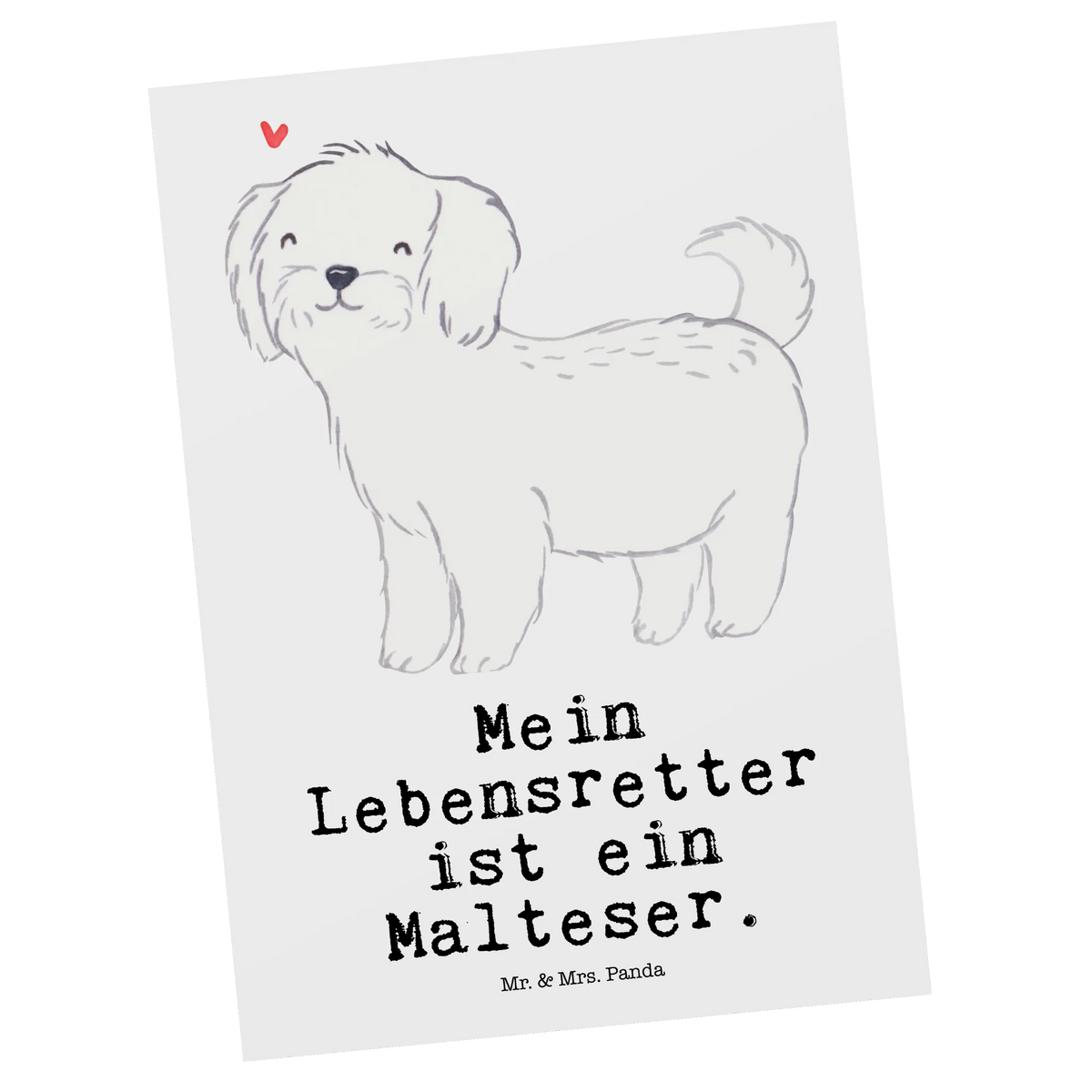 Postkarte Malteser Lebensretter bildkarte, spruchkarte, Motivkarte, Ansichtskarten, Fotokarte, Postkarte, Postkarten, kunstkarte, Designkarte, einzelkarte, Ansichtskarte, Kunstkarten, Grußkarte, Geschenk, Schenken, Hund, Hunderasse, Rassehund, Hundebesitzer, Tierfreund, Welpe, Malteser