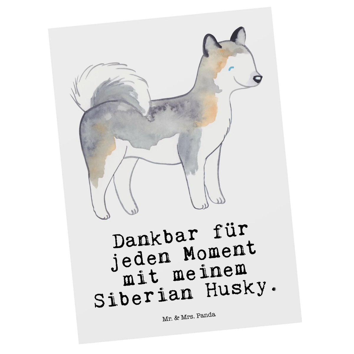 Postcard Siberian Husky Moment card, invitation card, paper, gift, invitation, letter, postcards, Postcard, gift card, Dog, dog breed, purebred dog, dog owner, animal lover, giving, puppy