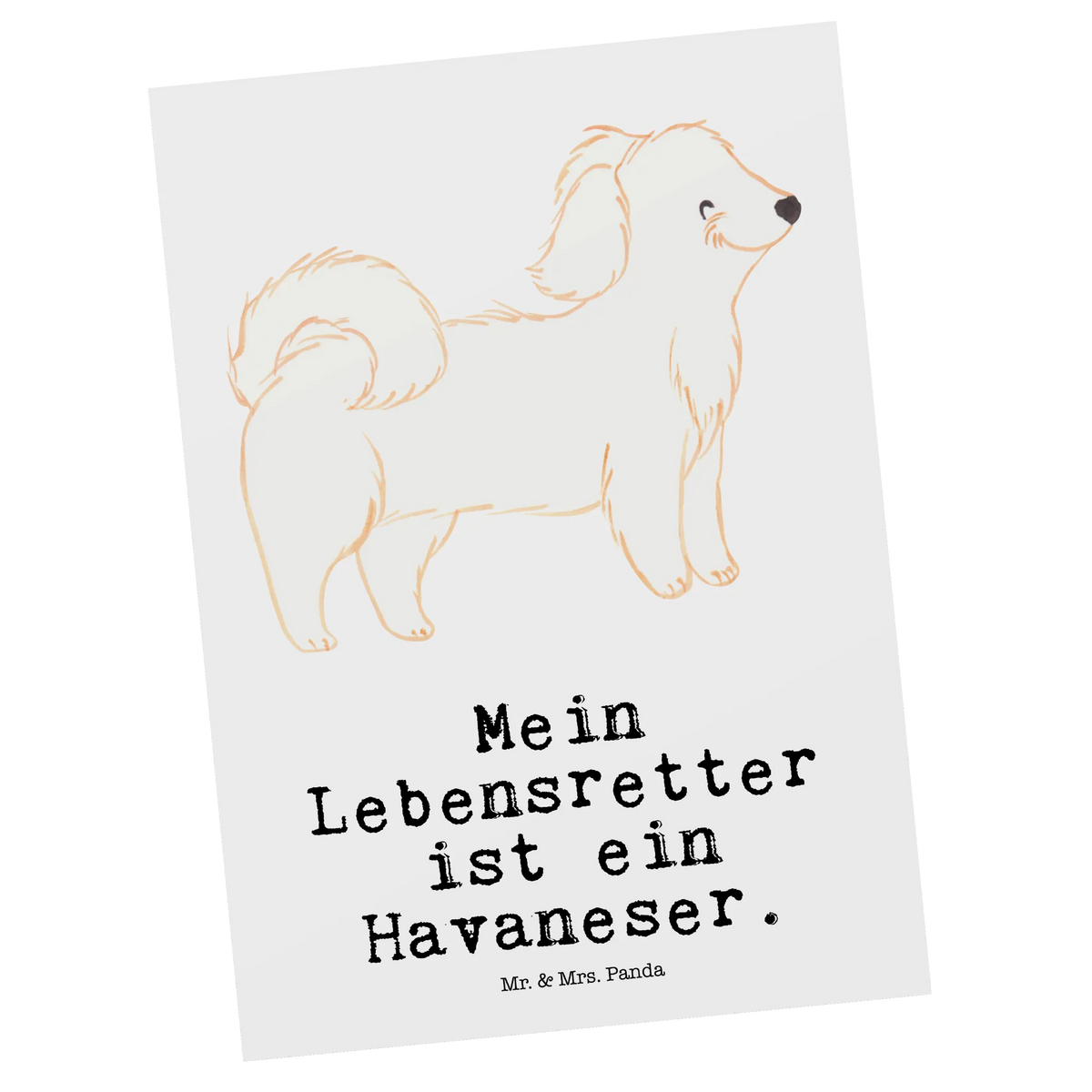 Postcard Havanese Lifesaver card, paper, gift, postcards, invitation, invitation card, Postcard, gift card, letter, Dog, dog breed, purebred dog, dog owner, animal lover, giving, puppy