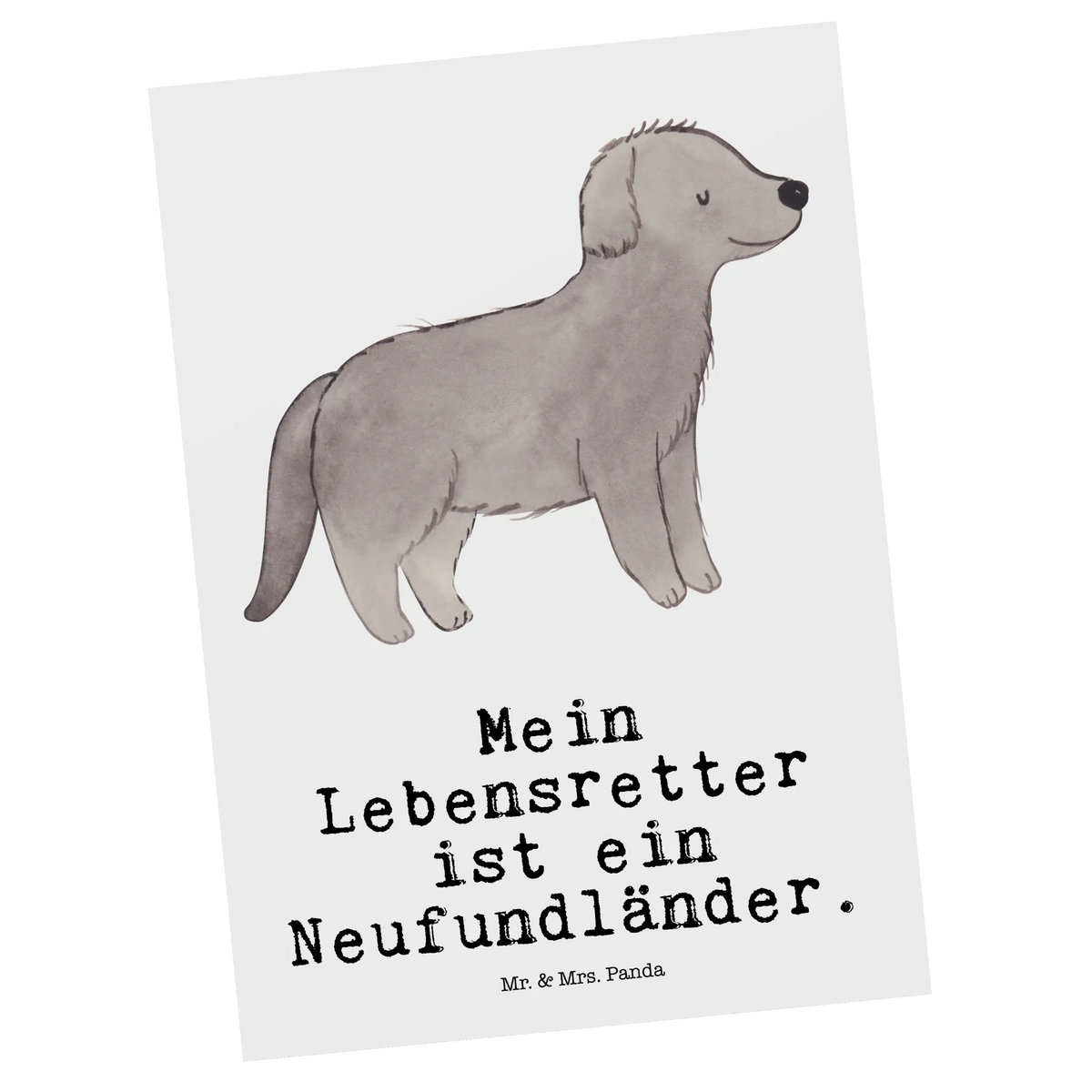 Postcard Newfoundland Lifesaver paper, invitation, Postcard, postcards, card, invitation card, gift card, gift, letter, Dog, dog breed, purebred dog, dog owner, animal lover, giving, puppy