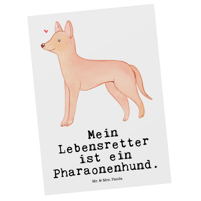 Postcard Pharaoh Hound Lifesaver