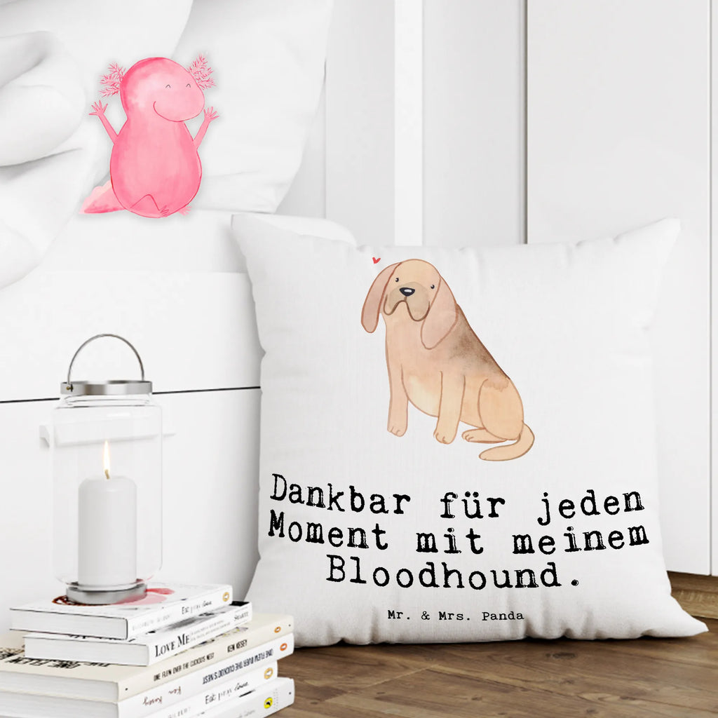 40x40 poduszka Bloodhound chwila Pies, rasa psa, pies rasowy, właściciel psa, prezent, miłośnik zwierząt, dawanie, szczeniak