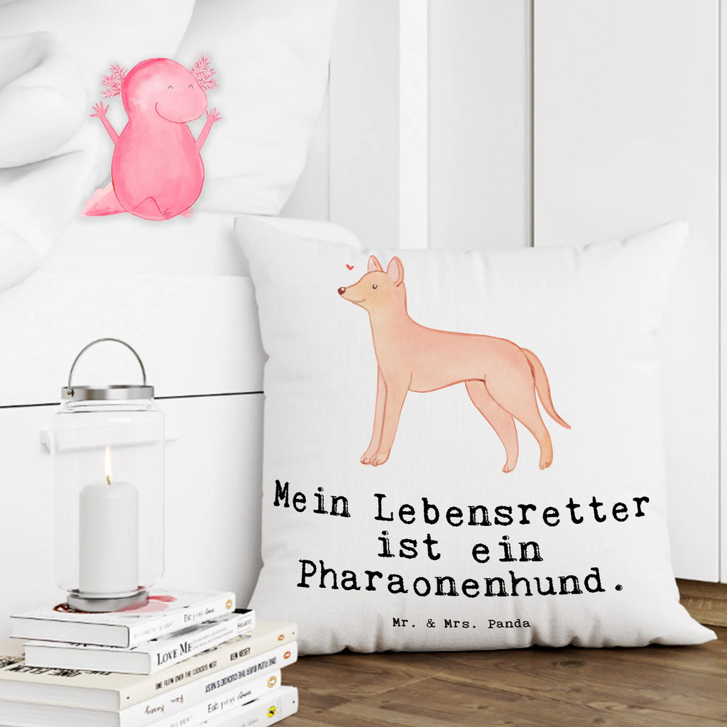 40x40 poduszka pies faraona Ratownik Pies, rasa psa, pies rasowy, właściciel psa, prezent, miłośnik zwierząt, dawanie, szczeniak