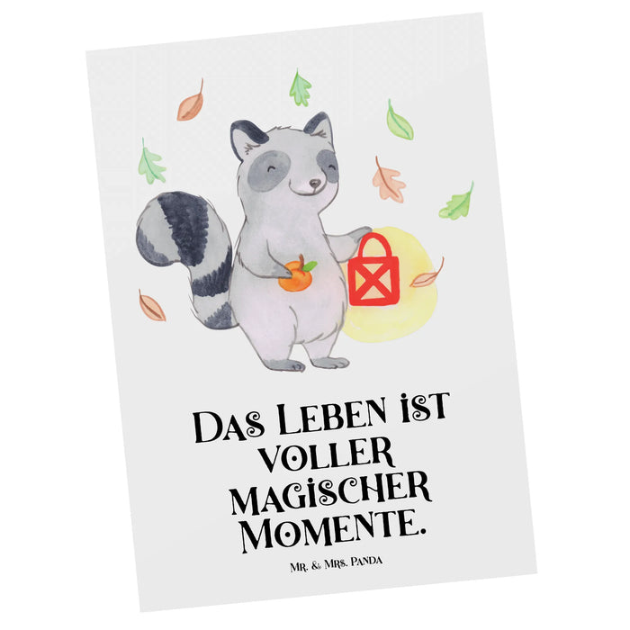 Postkarte Waschbär Laterne