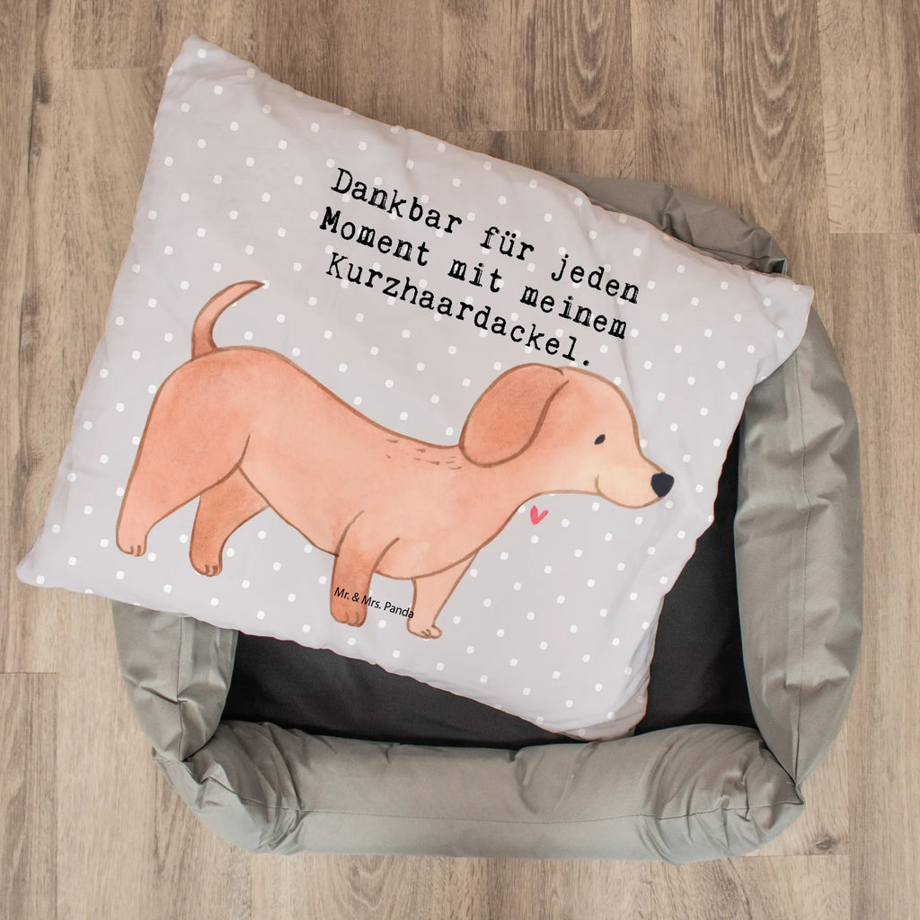 Dog bed Dachshund Smooth-haired Dachshund moment Dog, dog breed, purebred dog, dog owner, gift, animal lover, giving, puppy