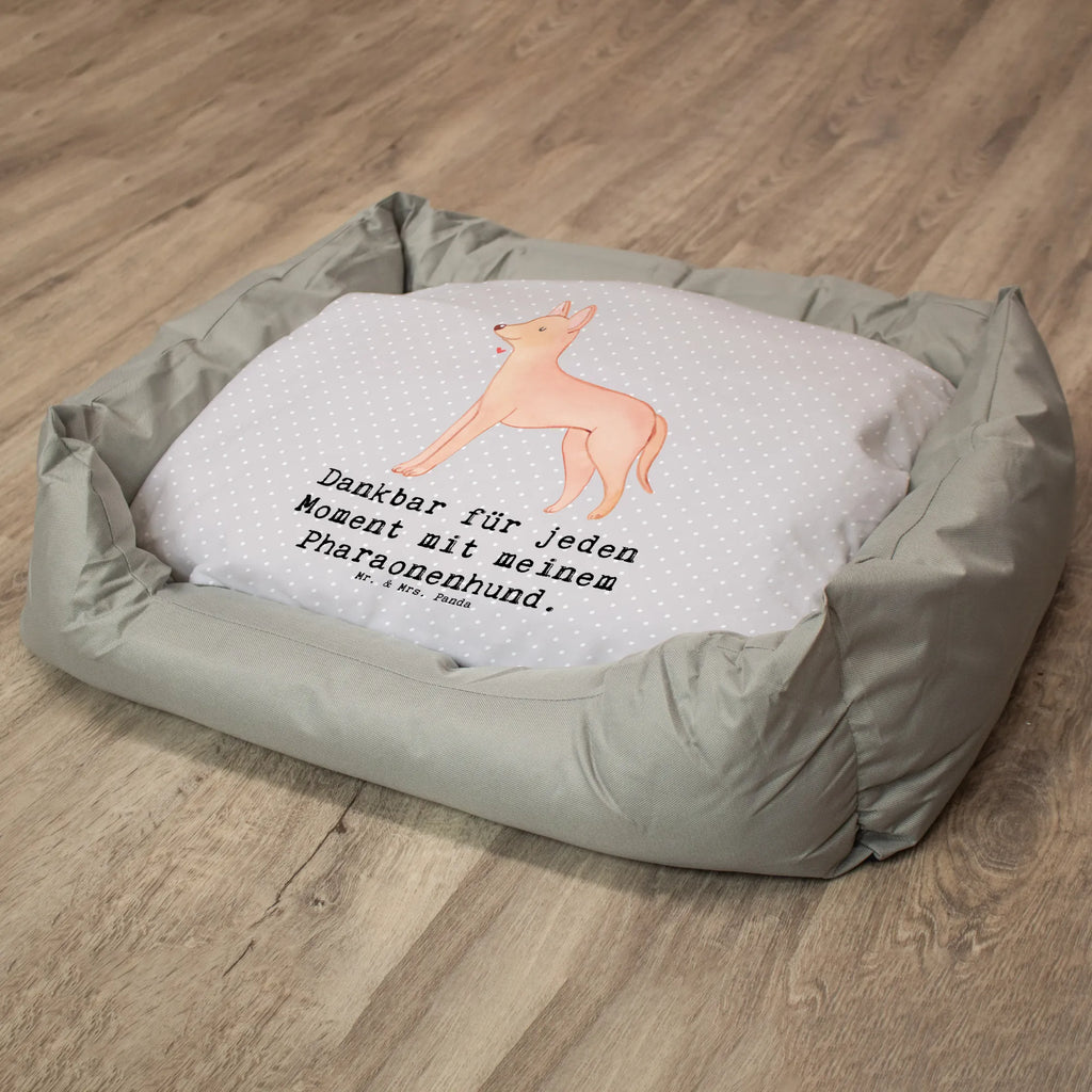 Dog bed Pharaoh Hound Moment Dog, dog breed, purebred dog, dog owner, gift, animal lover, giving, puppy