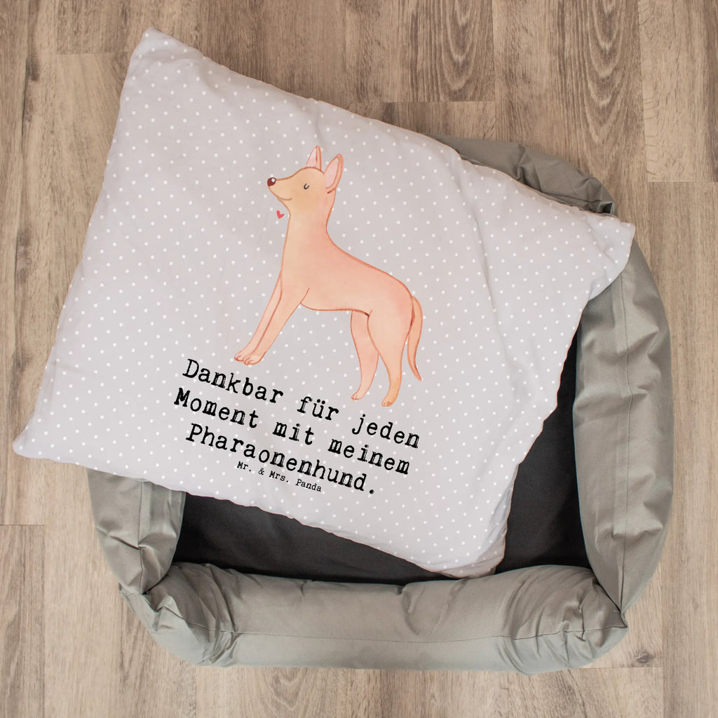 Dog bed Pharaoh Hound Moment Dog, dog breed, purebred dog, dog owner, gift, animal lover, giving, puppy