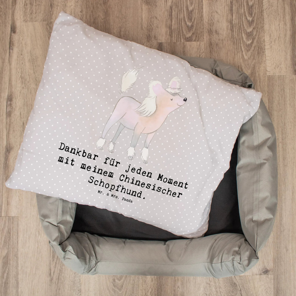 Legowisko dla psa Chiński pies czuprynowaty chwila Pies, rasa psa, pies rasowy, właściciel psa, prezent, miłośnik zwierząt, dawanie, szczeniak