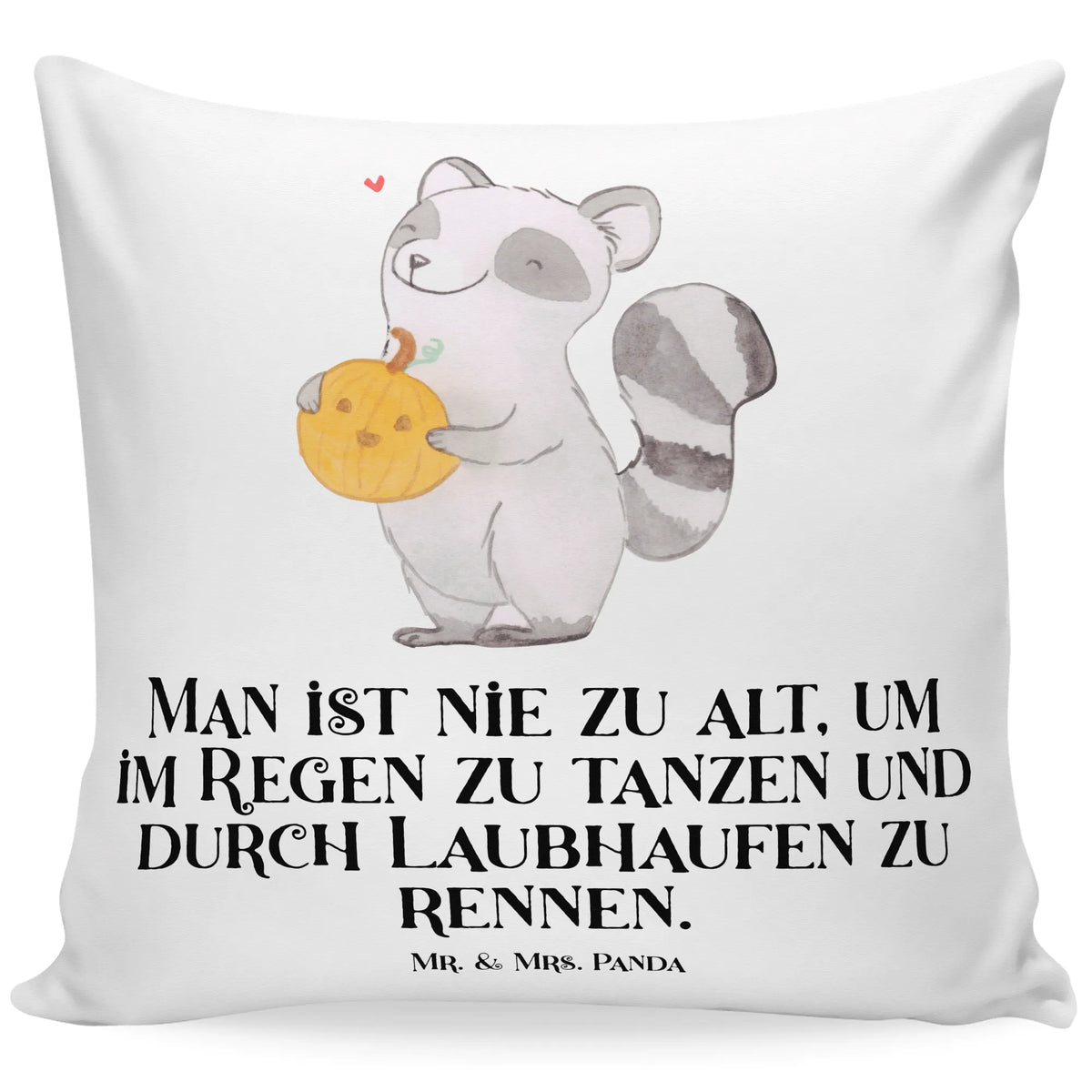 Cushion Raccoon Pumpkin 40x40, couch, fluffy, sofa, soft, settee, pillows, pillow case, pad, bedroom, bed, Pillow, 40 x 40, cushion, Halloween, decoration, Martin singing, decor, gifts, giving