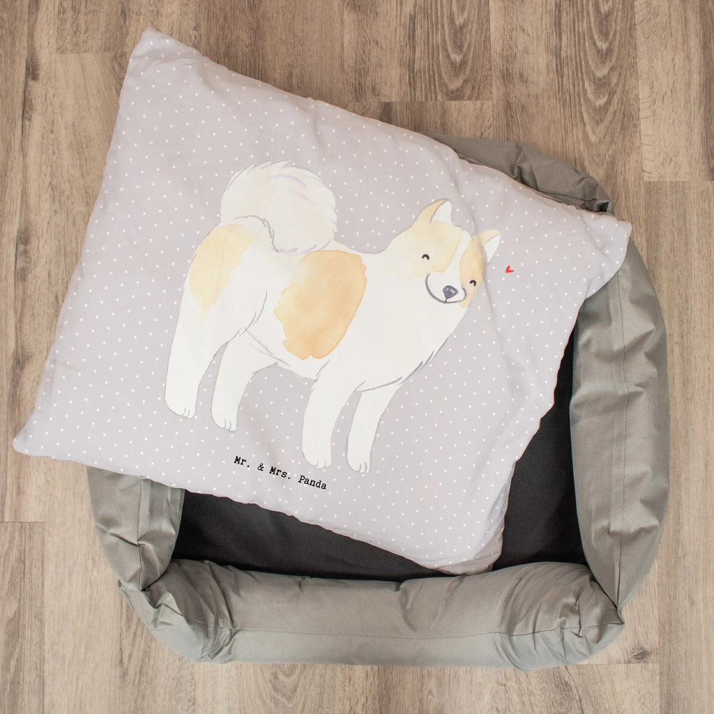 Dog bed Thai Bangkaew Lifesaver Hundemöbel, Hundekissen, Liegeplatz, Hundedecke, Hundebett, Hundebett Luxus, Hund, Körbchen, Tierbett, Hundesofa, Hundeschlafplatz, Hundekörbchen, Hundebettchen, Hundeliege, Geschenk, Schenken, Hunderasse, Rassehund, Hundebesitzer, Tierfreund, Welpe, Thai Bangkaew Dog