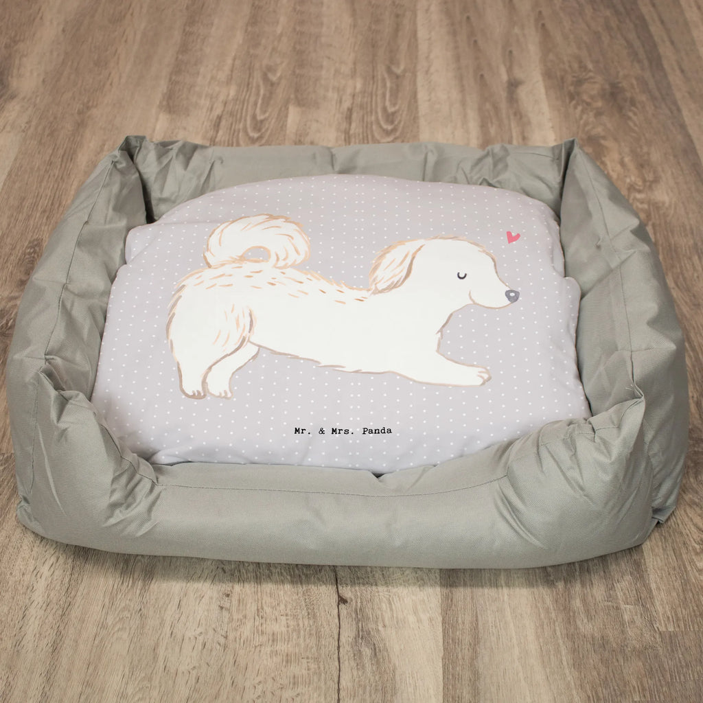 Hundebett Maltipoo Lebensretter Hundebett Luxus, Körbchen, Hund, Tierbett, Liegeplatz, Hundesofa, Hundebett, Hundeliege, Hundeschlafplatz, Hundebettchen, Hundekissen, Hundekörbchen, Hundedecke, Hundemöbel, Hunderasse, Rassehund, Hundebesitzer, Geschenk, Tierfreund, Schenken, Welpe, Maltipoo, Kreuzung, Mischling