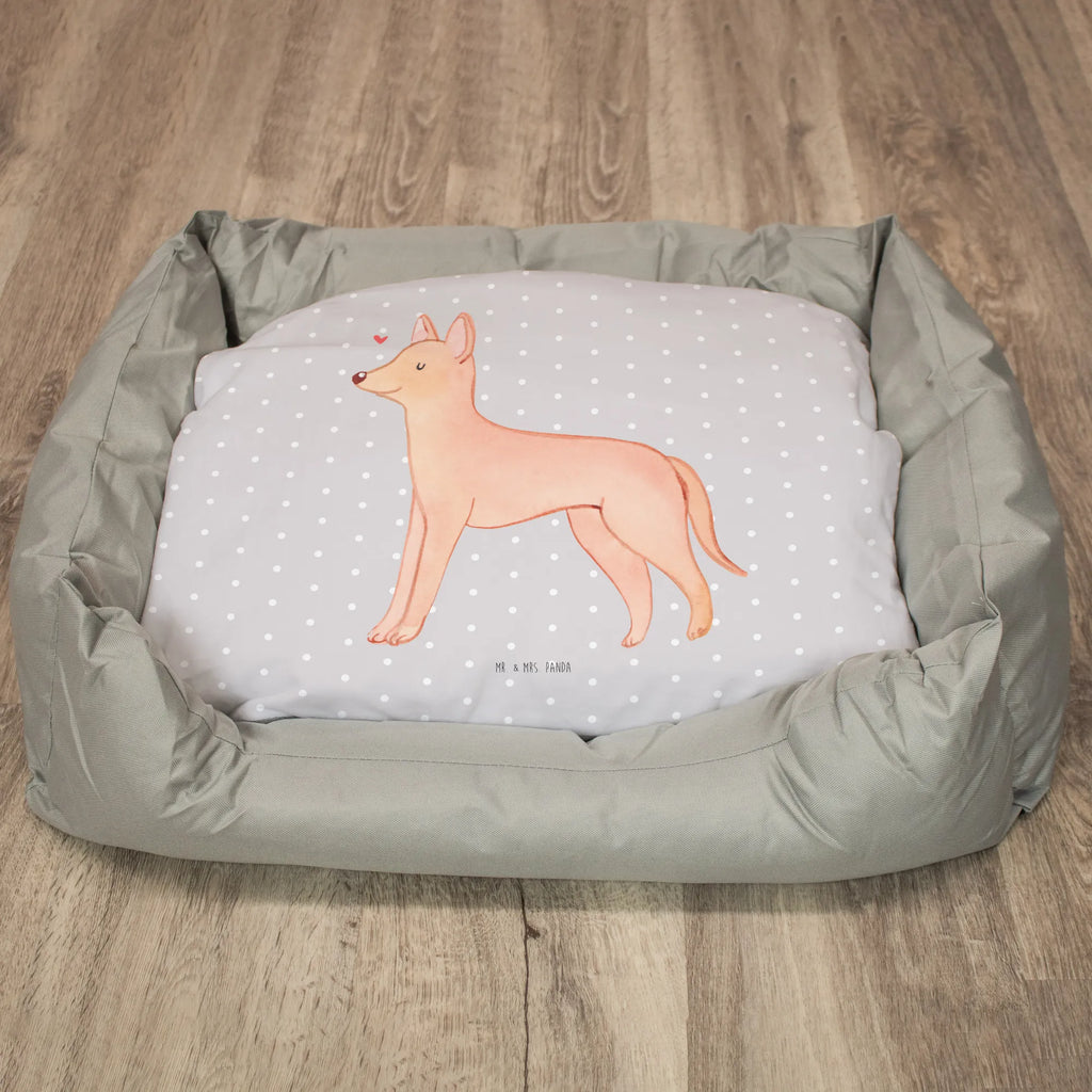 Hundebett Pharaonenhund Lebensretter Körbchen, Hundeliege, Hundeschlafplatz, Liegeplatz, Hundebett, Hundebett Luxus, Hund, Hundemöbel, Hundedecke, Hundebettchen, Tierbett, Hundekissen, Hundekörbchen, Hundesofa, Geschenk, Schenken, Hunderasse, Rassehund, Hundebesitzer, Tierfreund, Welpe, Kelb Tal-Fenek, Pharaonenhund, Pharaoh Hound
