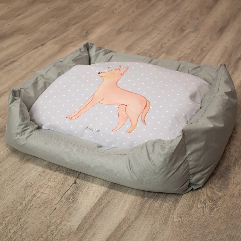 Hundebett Pharaonenhund Lebensretter Körbchen, Hundeliege, Hundeschlafplatz, Liegeplatz, Hundebett, Hundebett Luxus, Hund, Hundemöbel, Hundedecke, Hundebettchen, Tierbett, Hundekissen, Hundekörbchen, Hundesofa, Geschenk, Schenken, Hunderasse, Rassehund, Hundebesitzer, Tierfreund, Welpe, Kelb Tal-Fenek, Pharaonenhund, Pharaoh Hound