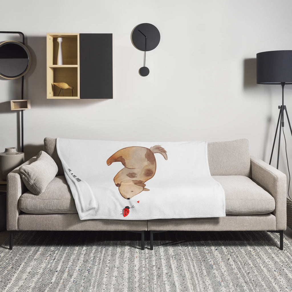 Kuscheldecke Hund Marienkäfer Gemütlich, Weihnachtsgeschenk, Kuschelfleecedecke, Mikrofaser Decke, Sofadecke, Entspannen, Dekodecke, Tagesdecke, Fleecedecke, Kuscheldecke XXL, Schmusedecke, Wohnzimmerdecke, Wolldecke, Kinderdecke, Jahrestagsgeschenk, Dekoration, Wohndecke, Decke, Sprüche, Hund, Hunderasse, Hundebesitzer, Hundemotiv, Haustier, Tierliebhaber, Mischlinghund, Hundespruch, Mischling, Hunde, Marienkäfer