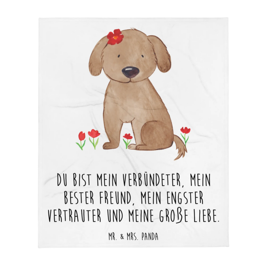 Koc pies Dama Pies, motyw psa, zwierzę domowe, rasa psa, miłośnik zwierząt, właściciel psa, powiedzenia