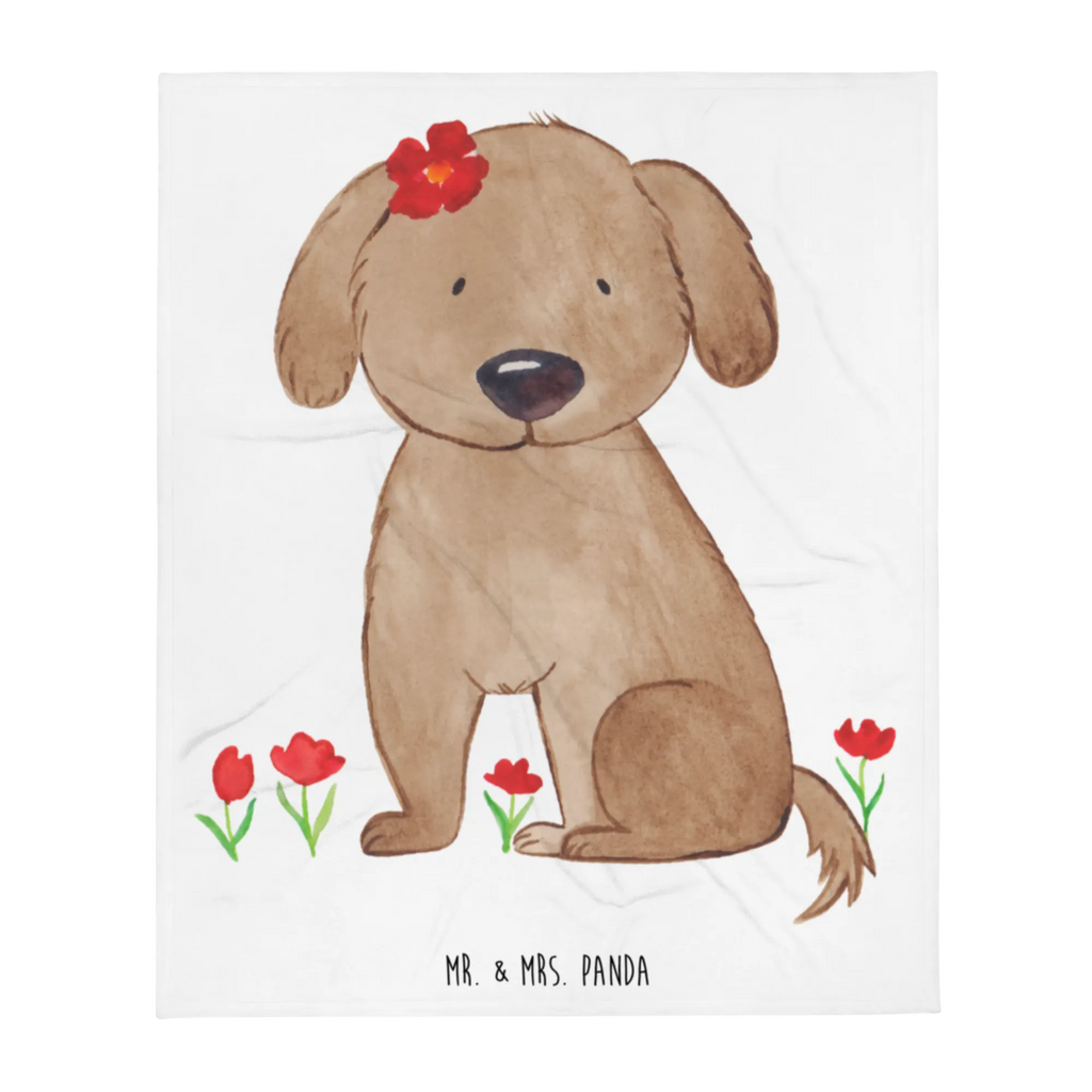 Koc pies Dama Pies, motyw psa, zwierzę domowe, rasa psa, miłośnik zwierząt, właściciel psa, powiedzenia