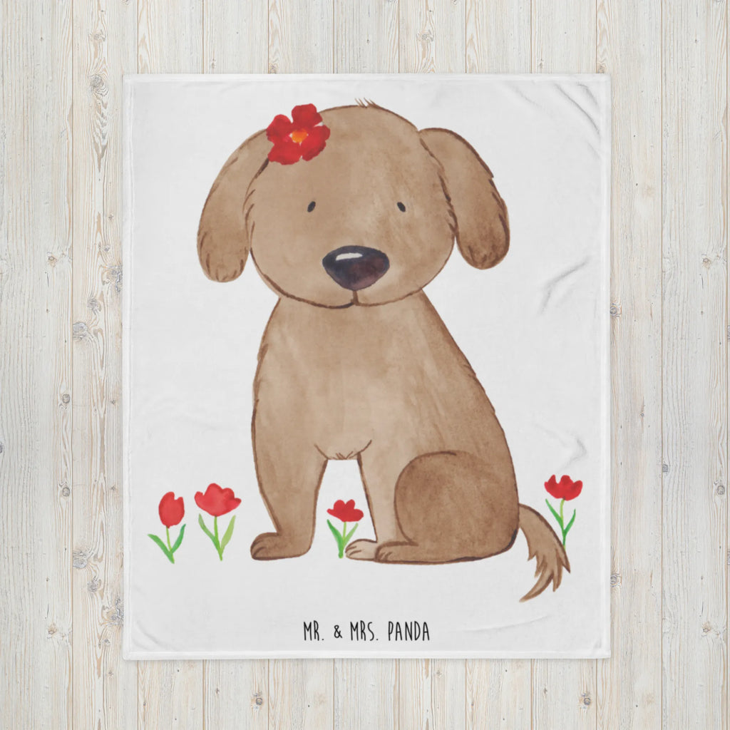 Koc pies Dama Pies, motyw psa, zwierzę domowe, rasa psa, miłośnik zwierząt, właściciel psa, powiedzenia