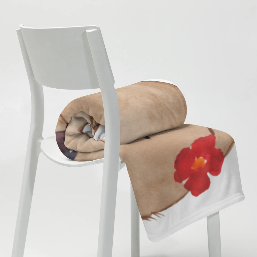 Koc pies Dama Pies, motyw psa, zwierzę domowe, rasa psa, miłośnik zwierząt, właściciel psa, powiedzenia