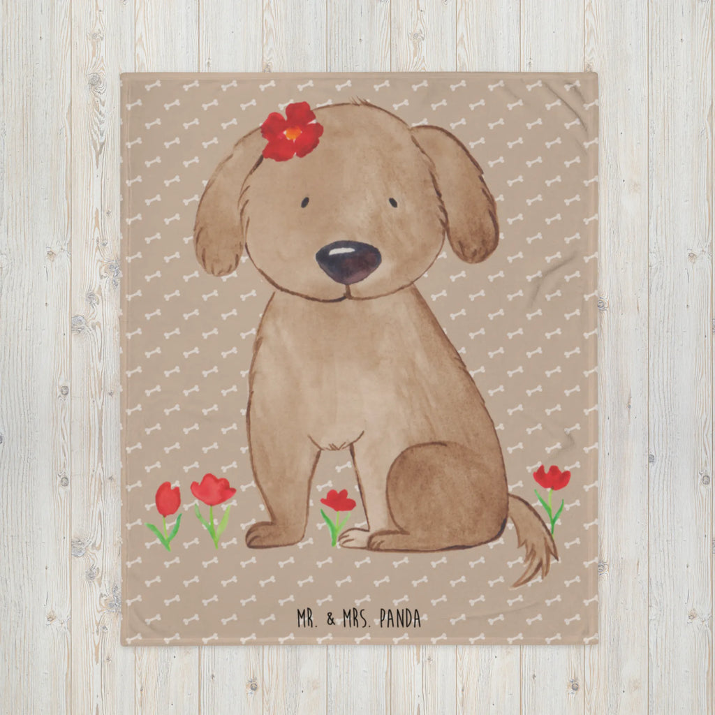 Koc pies Dama Pies, motyw psa, zwierzę domowe, rasa psa, miłośnik zwierząt, właściciel psa, powiedzenia