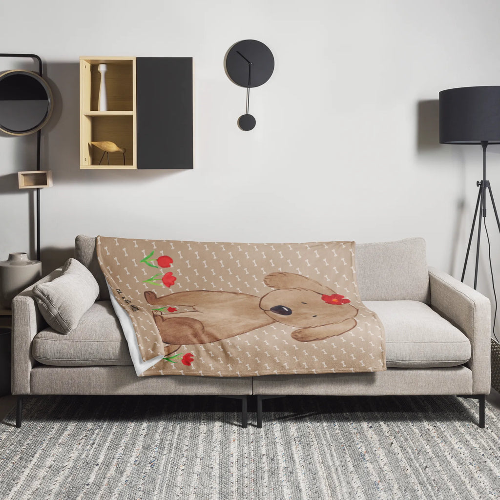 Koc pies Dama Pies, motyw psa, zwierzę domowe, rasa psa, miłośnik zwierząt, właściciel psa, powiedzenia