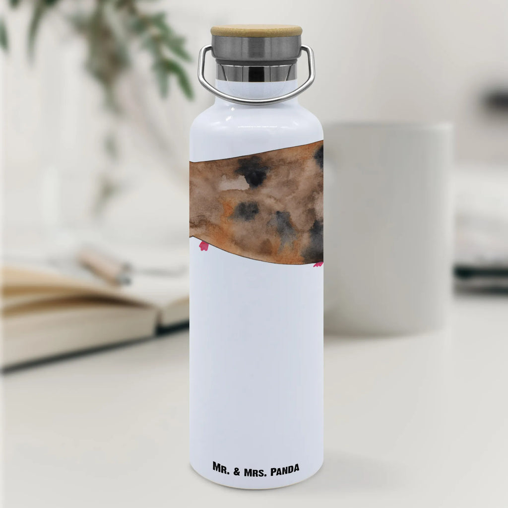 Drinks bottle unicorn Guinea pig unicorn, unicorns, guinea pig, Meericorn, squirrels