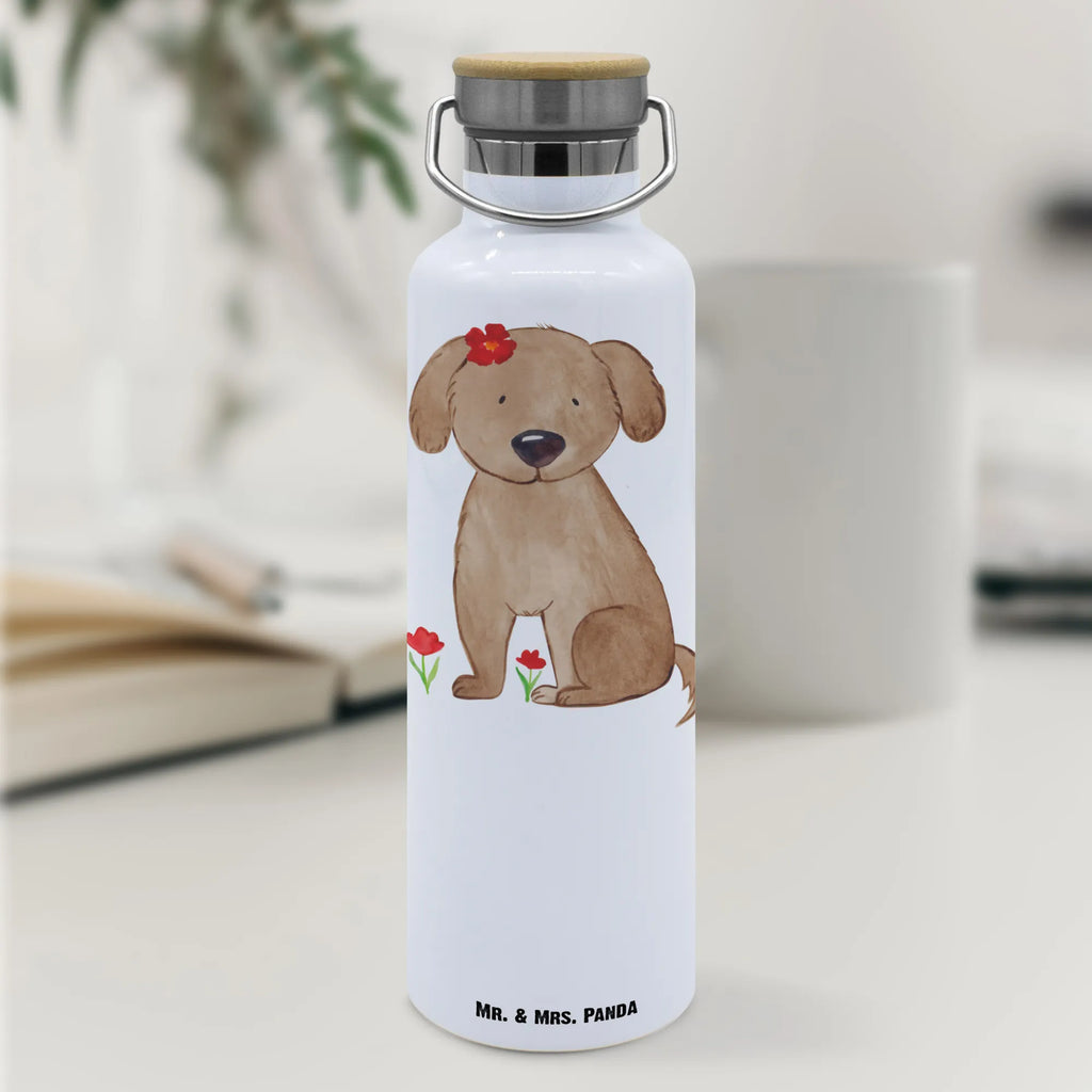 Drinks bottle Dog lady dog, mutt, hound, woof, dog mama, dog breed, love dogs, love for dogs, dog decorative items, bag with dog print, funny gifts for dog owners, what do you give a dog lover, Christmas gifts for dogs, gifts for dogs, dog sayings, dogs, dog love, dog owner, love, Dog, dog happiness, mistress
