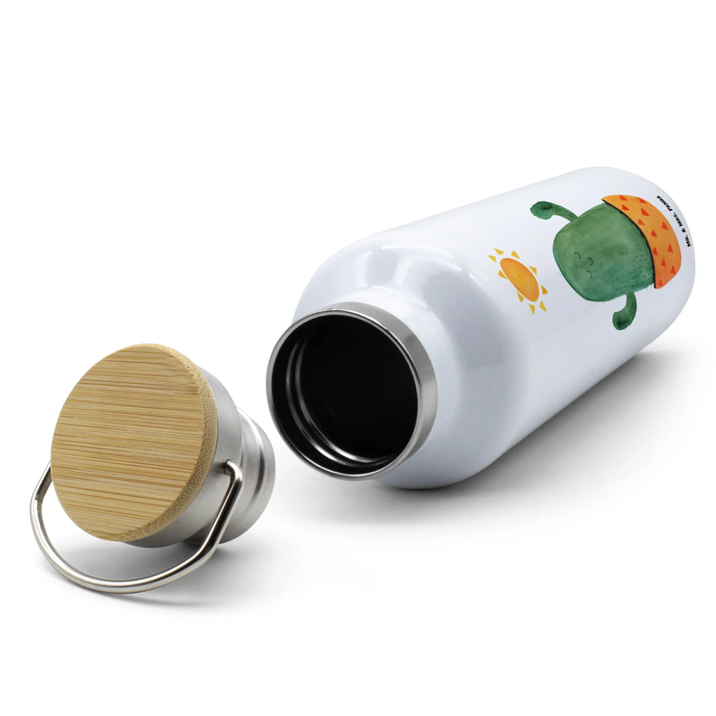 Drinks bottle cactus Sun cactus, cactuses, plants, cactus plant, small green cactus, new start, lovesickness, adultery, lovesickness gift, divorce, happy, motivation, sun, separation, love cactus love, happiness, gift idea, girlfriend, sunshine