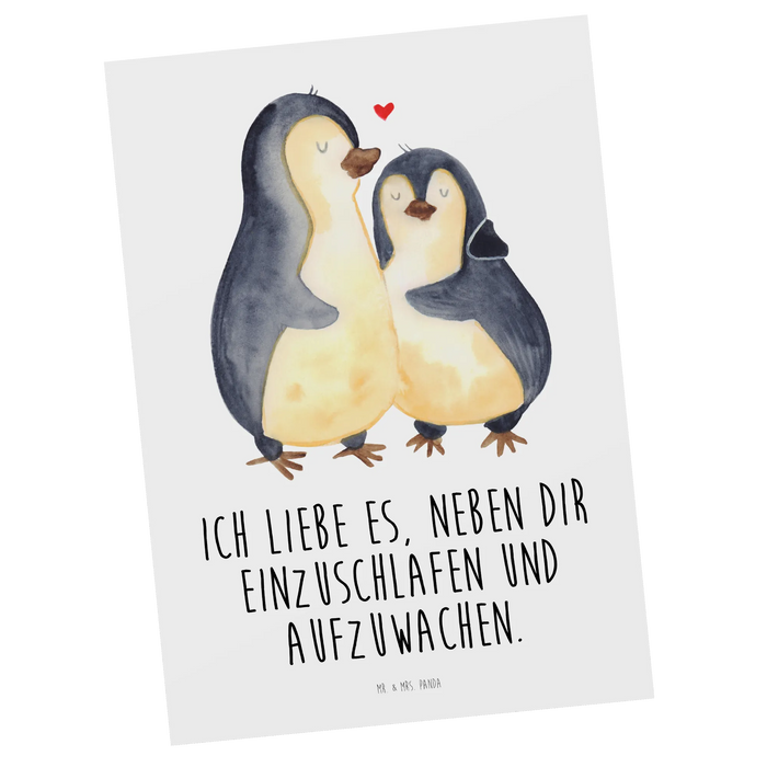 Postcard penguins Fall asleep