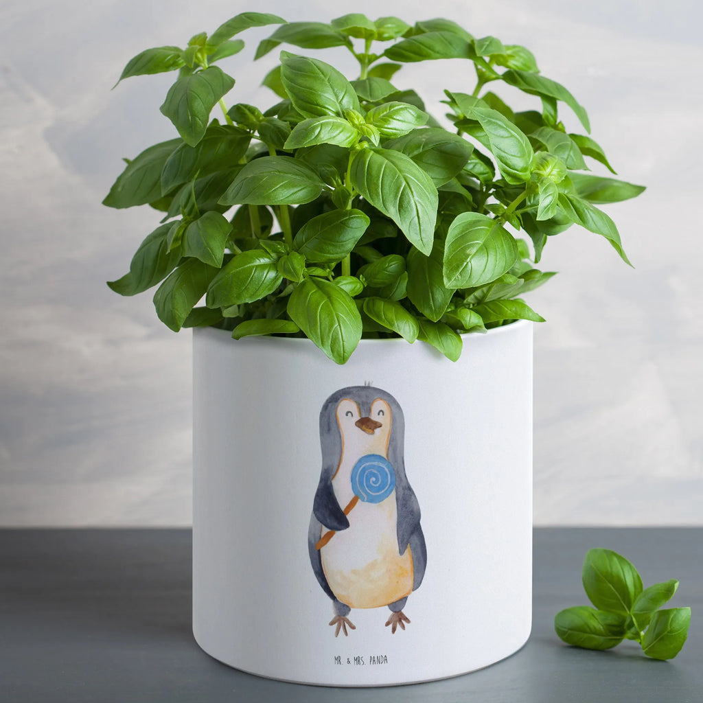 XL Blumentopf Pinguin Lolli Blumentopf Für Wohnzimmer XL, Tiefer Blumentopf, Geschenk Frauen, Blumentopf Aus Beton Groß, Dekotopf Groß, Blumentopf Für Garten Groß, Runder XL Blumentopf, Wetterfester XL Blumentopf, Blumentopf Aus Ton XXL, Pflanzkübel Groß, Frostsicherer Großer Blumentopf, Pflanzgefäß Terrasse Groß, Pflanzgefäß XL, Blumentopf Extra Groß, Pflanztopf Garten Groß, Großer Blumentopf Für Innen Und Außen, Blumentopf Modern Groß, Pflanzkübel Für Palmen, Blumentopf Für Terrasse XL, Übertopf XL, Blumentopf Design XL, Blumentopf Groß Außenbereich, Pflanztopf Groß, XL Blumentopf, Robuster Blumentopf Groß, Großer Pflanzbehälter, Blumentopf Groß Innenbereich, Blumentopf Aus Keramik XL, Blumentopf Klassisch Groß, Blumentopf Für Balkon Groß, Blumentopf Groß Aus Kunststoff, Blumentopf XXL, Großer Blumentopf, Blumentopf Rustikal Groß, Hoher Blumentopf, Blumentopf Für Große Pflanzen, Eckiger XL Blumentopf, XL Übertopf Dekorativ, Pinguin, Gauner, Spruch, Süßigkeiten, Rabauke, Blödsinn, Pinguine, Lolli, Ganove, Rebell