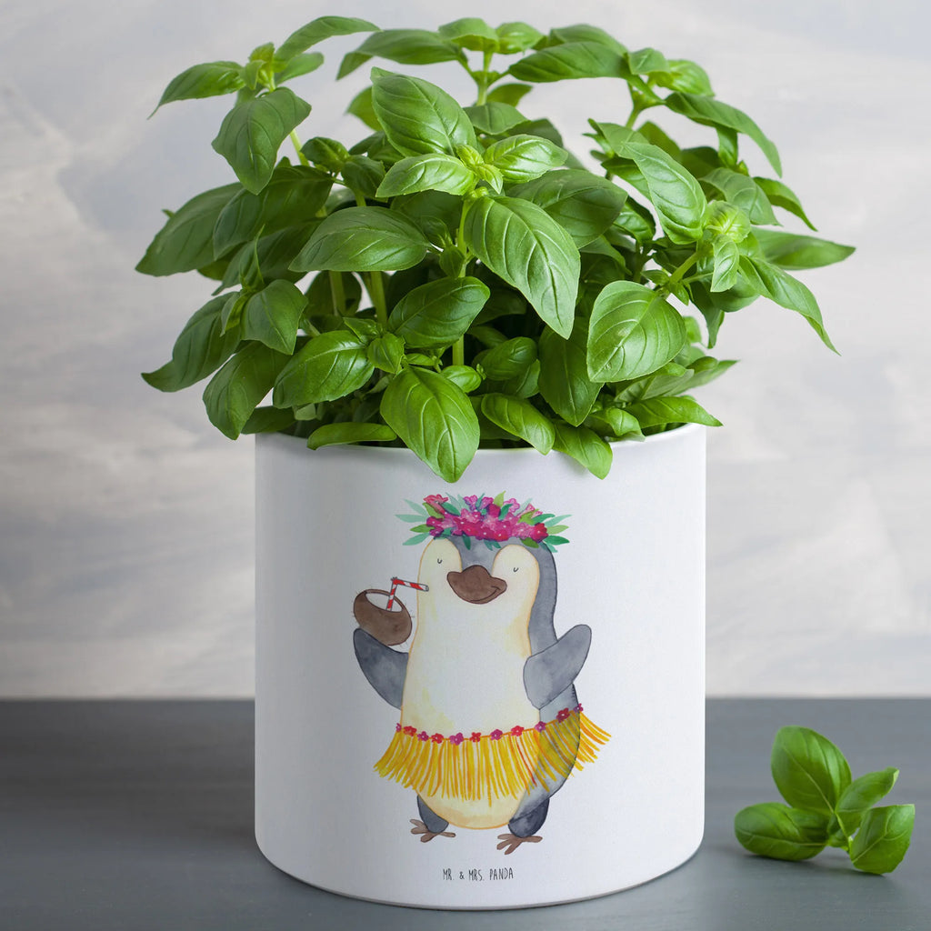 XL Blumentopf Pinguin Kokosnuss Pflanzgefäß XL, Pflanzkübel Groß, Großer Blumentopf, Geschenk Frauen, Eckiger XL Blumentopf, Blumentopf Für Terrasse XL, Dekotopf Groß, Blumentopf Für Wohnzimmer XL, Blumentopf Aus Ton XXL, Blumentopf Für Große Pflanzen, Pflanztopf Groß, Übertopf XL, Robuster Blumentopf Groß, Großer Pflanzbehälter, Blumentopf Modern Groß, Wetterfester XL Blumentopf, Blumentopf Groß Innenbereich, Blumentopf Extra Groß, Großer Blumentopf Für Innen Und Außen, Tiefer Blumentopf, Runder XL Blumentopf, Blumentopf Aus Beton Groß, Blumentopf Design XL, Pflanztopf Garten Groß, Blumentopf Für Garten Groß, Blumentopf Klassisch Groß, Blumentopf Groß Aus Kunststoff, Pflanzkübel Für Palmen, XL Blumentopf, Blumentopf XXL, Blumentopf Aus Keramik XL, Blumentopf Groß Außenbereich, Blumentopf Für Balkon Groß, XL Übertopf Dekorativ, Blumentopf Rustikal Groß, Pflanzgefäß Terrasse Groß, Frostsicherer Großer Blumentopf, Hoher Blumentopf, Pinguin, Urlaub, Hawaii, Aloha, Pinguine, Kokosnuss