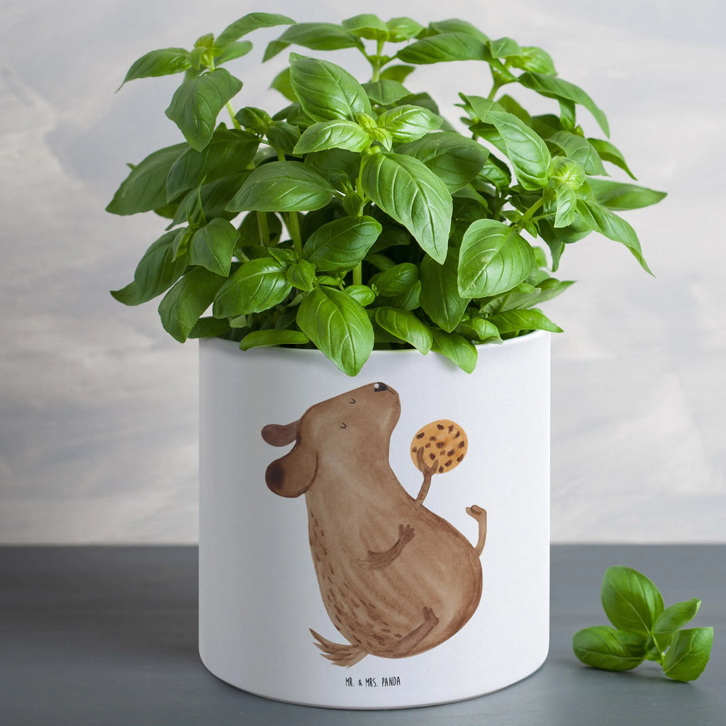 XL flower pot Dog biscuit Blumentopf Für Wohnzimmer XL, Blumentopf Für Terrasse XL, Blumentopf Aus Beton Groß, Blumentopf Extra Groß, Blumentopf Groß Außenbereich, Blumentopf Rustikal Groß, Blumentopf Für Garten Groß, Pflanztopf Garten Groß, Pflanzkübel Groß, Dekotopf Groß, Blumentopf Modern Groß, Blumentopf Groß Aus Kunststoff, Geschenk Frauen, Blumentopf Klassisch Groß, Wetterfester XL Blumentopf, Runder XL Blumentopf, Blumentopf Groß Innenbereich, Blumentopf Für Balkon Groß, Pflanzgefäß Terrasse Groß, Pflanztopf Groß, Tiefer Blumentopf, Blumentopf XXL, Eckiger XL Blumentopf, XL Übertopf Dekorativ, Blumentopf Design XL, Großer Blumentopf, Frostsicherer Großer Blumentopf, Blumentopf Aus Ton XXL, Großer Pflanzbehälter, Blumentopf Aus Keramik XL, Übertopf XL, Pflanzkübel Für Palmen, Hoher Blumentopf, Pflanzgefäß XL, Blumentopf Für Große Pflanzen, XL Blumentopf, Robuster Blumentopf Groß, Großer Blumentopf Für Innen Und Außen, Sprüche, Hund, Hunderasse, Hundebesitzer, Hundemotiv, Haustier, Tierliebhaber, Hundesnacks, Hundeleckerli, Leckerli, Hundekekse