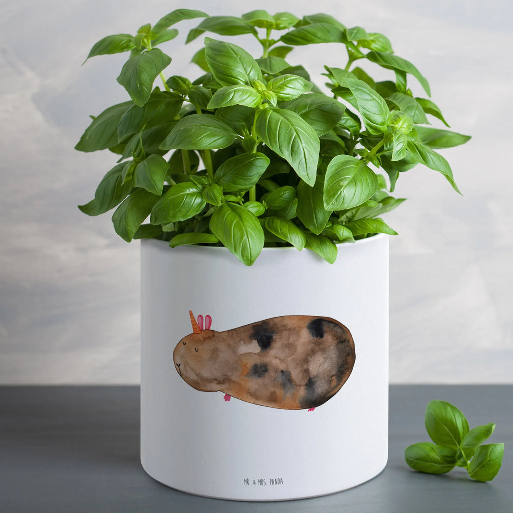 XL flower pot unicorn Guinea pig unicorn, unicorns, squirrels, guinea pig, Meericorn