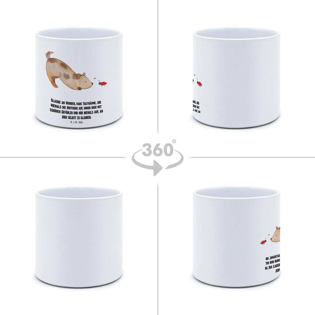 XL donica pies biedronka Frostsicherer Großer Blumentopf, Pflanztopf Garten Groß, Blumentopf Design XL, Hoher Blumentopf, Blumentopf Aus Ton XXL, Pflanzgefäß Terrasse Groß, Geschenk Frauen, Blumentopf Aus Keramik XL, Pflanzkübel Groß, Blumentopf Für Garten Groß, Übertopf XL, Großer Blumentopf, Eckiger XL Blumentopf, Blumentopf Für Terrasse XL, XL Übertopf Dekorativ, Blumentopf Klassisch Groß, Blumentopf Modern Groß, Pflanzkübel Für Palmen, Tiefer Blumentopf, Wetterfester XL Blumentopf, Blumentopf Für Balkon Groß, Pflanztopf Groß, XL Blumentopf, Großer Pflanzbehälter, Blumentopf Groß Innenbereich, Dekotopf Groß, Großer Blumentopf Für Innen Und Außen, Blumentopf Für Große Pflanzen, Blumentopf Groß Außenbereich, Blumentopf Für Wohnzimmer XL, Robuster Blumentopf Groß, Blumentopf Aus Beton Groß, Blumentopf Rustikal Groß, Blumentopf Extra Groß, Blumentopf XXL, Blumentopf Groß Aus Kunststoff, Runder XL Blumentopf, Pflanzgefäß XL, Sprüche, Hund, Hunderasse, Hundebesitzer, Hundemotiv, Haustier, Tierliebhaber, Hunde, Mischling, Hundespruch, Marienkäfer, Mischlinghund