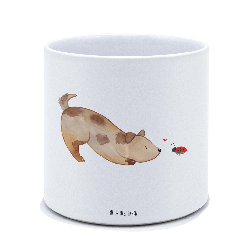 XL donica pies biedronka Frostsicherer Großer Blumentopf, Pflanztopf Garten Groß, Blumentopf Design XL, Hoher Blumentopf, Blumentopf Aus Ton XXL, Pflanzgefäß Terrasse Groß, Geschenk Frauen, Blumentopf Aus Keramik XL, Pflanzkübel Groß, Blumentopf Für Garten Groß, Übertopf XL, Großer Blumentopf, Eckiger XL Blumentopf, Blumentopf Für Terrasse XL, XL Übertopf Dekorativ, Blumentopf Klassisch Groß, Blumentopf Modern Groß, Pflanzkübel Für Palmen, Tiefer Blumentopf, Wetterfester XL Blumentopf, Blumentopf Für Balkon Groß, Pflanztopf Groß, XL Blumentopf, Großer Pflanzbehälter, Blumentopf Groß Innenbereich, Dekotopf Groß, Großer Blumentopf Für Innen Und Außen, Blumentopf Für Große Pflanzen, Blumentopf Groß Außenbereich, Blumentopf Für Wohnzimmer XL, Robuster Blumentopf Groß, Blumentopf Aus Beton Groß, Blumentopf Rustikal Groß, Blumentopf Extra Groß, Blumentopf XXL, Blumentopf Groß Aus Kunststoff, Runder XL Blumentopf, Pflanzgefäß XL, Sprüche, Hund, Hunderasse, Hundebesitzer, Hundemotiv, Haustier, Tierliebhaber, Hunde, Mischling, Hundespruch, Marienkäfer, Mischlinghund