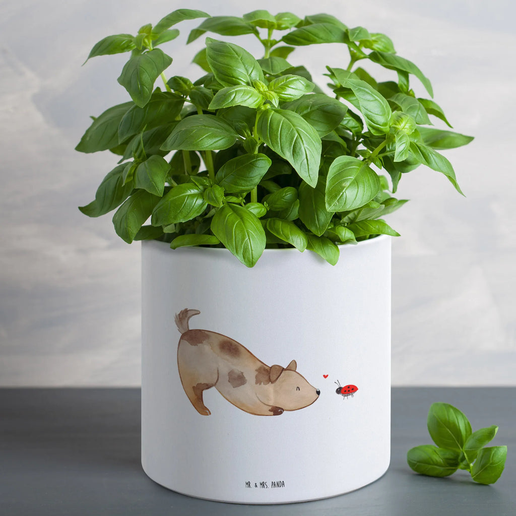 XL donica pies biedronka Frostsicherer Großer Blumentopf, Pflanztopf Garten Groß, Blumentopf Design XL, Hoher Blumentopf, Blumentopf Aus Ton XXL, Pflanzgefäß Terrasse Groß, Geschenk Frauen, Blumentopf Aus Keramik XL, Pflanzkübel Groß, Blumentopf Für Garten Groß, Übertopf XL, Großer Blumentopf, Eckiger XL Blumentopf, Blumentopf Für Terrasse XL, XL Übertopf Dekorativ, Blumentopf Klassisch Groß, Blumentopf Modern Groß, Pflanzkübel Für Palmen, Tiefer Blumentopf, Wetterfester XL Blumentopf, Blumentopf Für Balkon Groß, Pflanztopf Groß, XL Blumentopf, Großer Pflanzbehälter, Blumentopf Groß Innenbereich, Dekotopf Groß, Großer Blumentopf Für Innen Und Außen, Blumentopf Für Große Pflanzen, Blumentopf Groß Außenbereich, Blumentopf Für Wohnzimmer XL, Robuster Blumentopf Groß, Blumentopf Aus Beton Groß, Blumentopf Rustikal Groß, Blumentopf Extra Groß, Blumentopf XXL, Blumentopf Groß Aus Kunststoff, Runder XL Blumentopf, Pflanzgefäß XL, Sprüche, Hund, Hunderasse, Hundebesitzer, Hundemotiv, Haustier, Tierliebhaber, Hunde, Mischling, Hundespruch, Marienkäfer, Mischlinghund