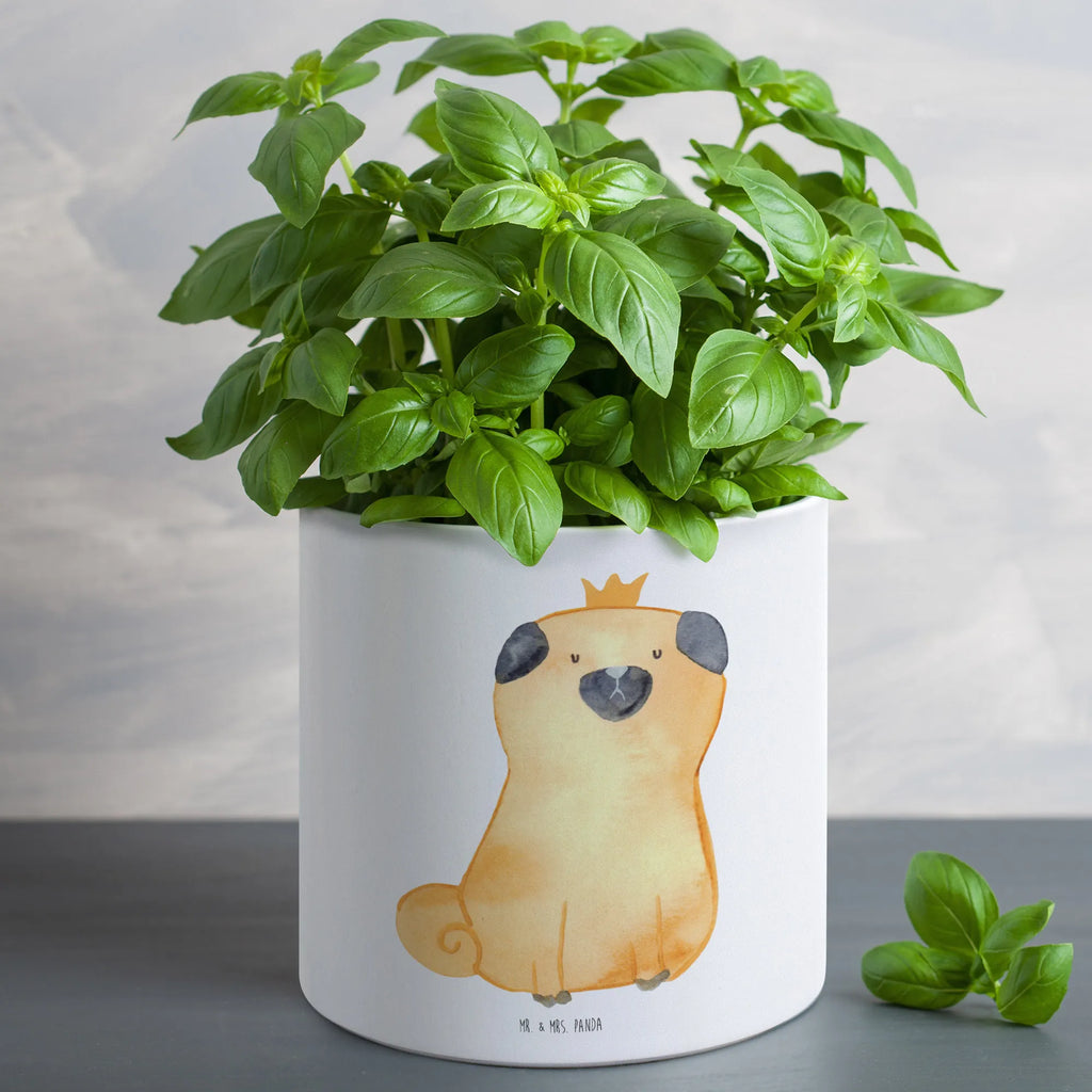 XL flower pot pug Crown dog, mutt, hound, woof, dog mama, dog breed, love dogs, love for dogs, dog decorative items, bag with dog print, funny gifts for dog owners, what do you give a dog lover, Christmas gifts for dogs, gifts for dogs, dog sayings, allergic, dog owners. Saying, childless, Pug, funny, house rules