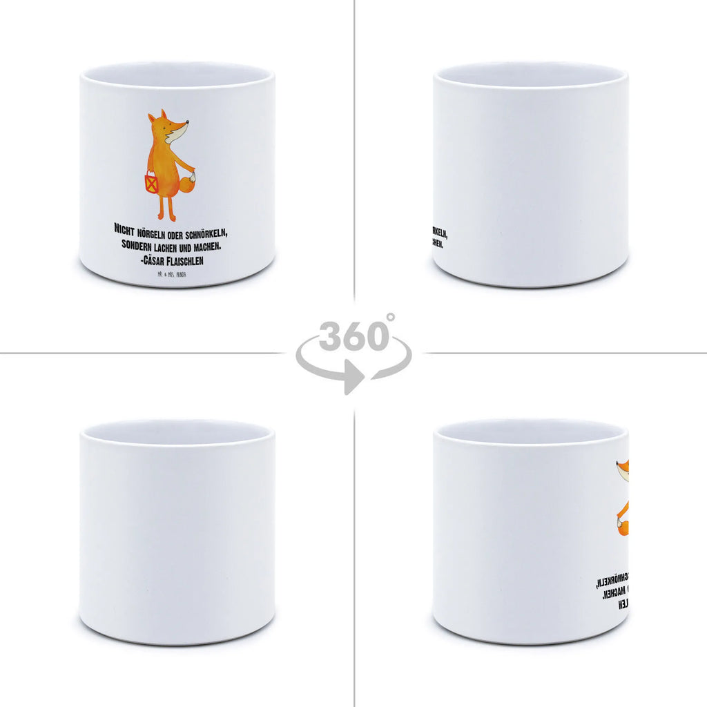 XL donica lis latarnia Lis