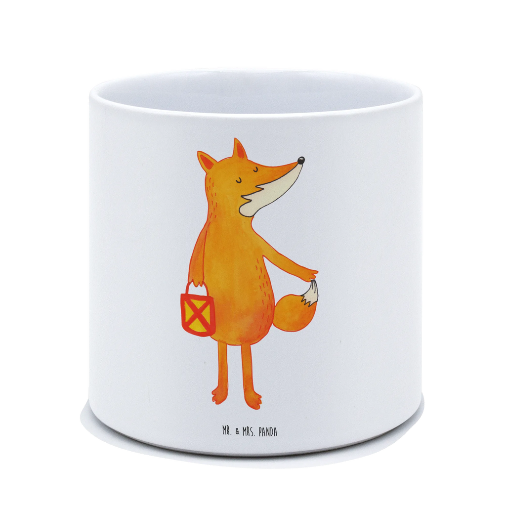 XL donica lis latarnia Lis