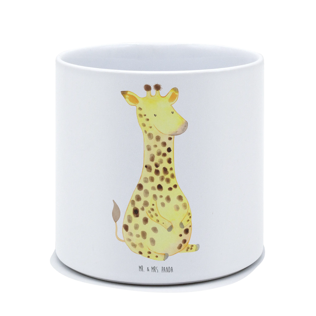 XL donica żyrafa Zadowolony Afryka, dzikie zwierzęta