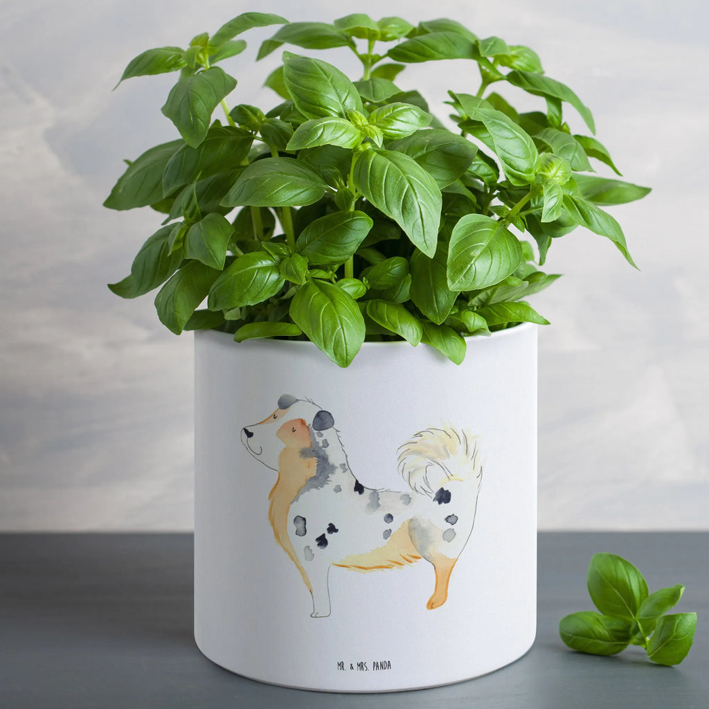 XL flower pot Dog Australia Shepherd Eckiger XL Blumentopf, Blumentopf Für Balkon Groß, Hoher Blumentopf, Blumentopf Extra Groß, Blumentopf Aus Beton Groß, Übertopf XL, Blumentopf Für Terrasse XL, Blumentopf Aus Keramik XL, Blumentopf Groß Aus Kunststoff, Blumentopf Groß Innenbereich, Pflanzkübel Für Palmen, Pflanzgefäß Terrasse Groß, Blumentopf XXL, Blumentopf Rustikal Groß, Pflanzkübel Groß, Tiefer Blumentopf, Pflanztopf Groß, Blumentopf Aus Ton XXL, Blumentopf Für Garten Groß, Blumentopf Klassisch Groß, Blumentopf Für Große Pflanzen, Pflanztopf Garten Groß, Blumentopf Design XL, Blumentopf Modern Groß, XL Blumentopf, XL Übertopf Dekorativ, Blumentopf Groß Außenbereich, Blumentopf Für Wohnzimmer XL, Großer Blumentopf, Pflanzgefäß XL, Großer Blumentopf Für Innen Und Außen, Frostsicherer Großer Blumentopf, Runder XL Blumentopf, Wetterfester XL Blumentopf, Großer Pflanzbehälter, Robuster Blumentopf Groß, Dekotopf Groß, Hund, Hundemotiv, Haustier, Hunderasse, Tierliebhaber, Hundebesitzer, Sprüche, Shepherd, Australien Shepherd, Familienhund, Spruch, Hundeliebe