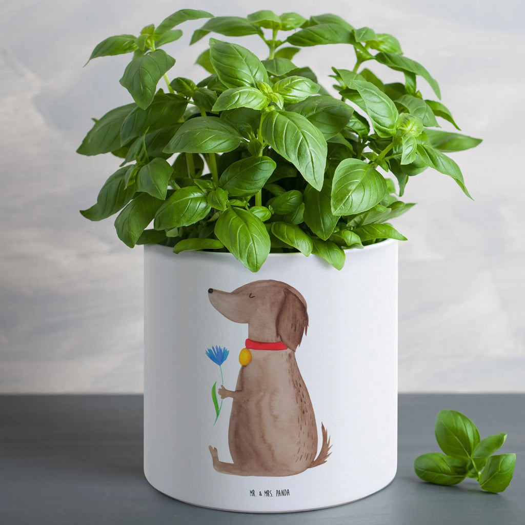 XL Blumentopf Hund Blume Pflanzkübel Für Palmen, Blumentopf Groß Innenbereich, Übertopf XL, Blumentopf Für Garten Groß, Blumentopf Aus Ton XXL, Blumentopf Für Balkon Groß, Blumentopf Für Große Pflanzen, Großer Blumentopf Für Innen Und Außen, Blumentopf Groß Außenbereich, Pflanzgefäß Terrasse Groß, Blumentopf Design XL, Hoher Blumentopf, Tiefer Blumentopf, Blumentopf Extra Groß, Pflanzkübel Groß, Frostsicherer Großer Blumentopf, XL Blumentopf, Blumentopf XXL, Blumentopf Für Wohnzimmer XL, Blumentopf Für Terrasse XL, Wetterfester XL Blumentopf, Blumentopf Rustikal Groß, Blumentopf Modern Groß, Großer Pflanzbehälter, Pflanztopf Groß, Runder XL Blumentopf, Pflanztopf Garten Groß, XL Übertopf Dekorativ, Blumentopf Groß Aus Kunststoff, Robuster Blumentopf Groß, Eckiger XL Blumentopf, Dekotopf Groß, Großer Blumentopf, Pflanzgefäß XL, Blumentopf Klassisch Groß, Blumentopf Aus Beton Groß, Blumentopf Aus Keramik XL, Hund, Hundemotiv, Haustier, Hunderasse, Tierliebhaber, Hundebesitzer, Sprüche, Hunde, Hundeliebe, Frauchen
