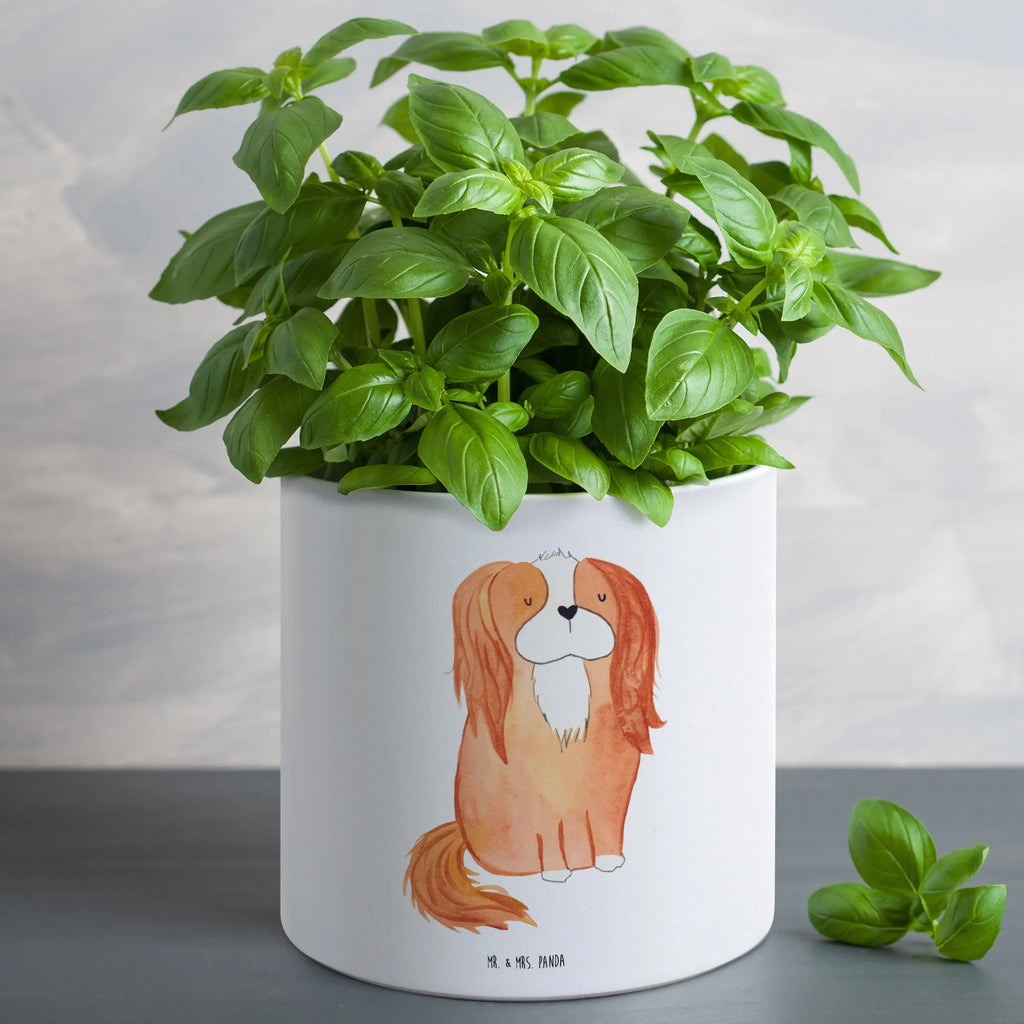 XL flower pot Dog Cavalier King Charles Spaniel dog, mutt, hound, woof, dog mama, dog breed, love dogs, love for dogs, dog decorative items, bag with dog print, funny gifts for dog owners, what do you give a dog lover, Christmas gifts for dogs, gifts for dogs, dog sayings, Sayings, Cavalier King Charles Spaniel, Spaniel, Cocker Spaniel, most beautiful dog, Dog